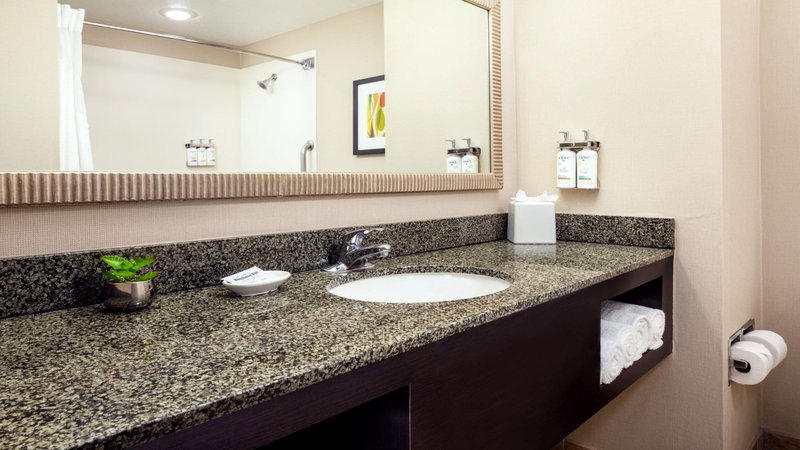 HOLIDAY INN HTL STES CHANDLER
