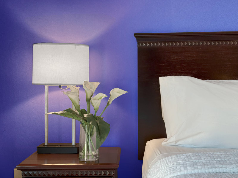 HOLIDAY INN SOUTH PLAINFIELD