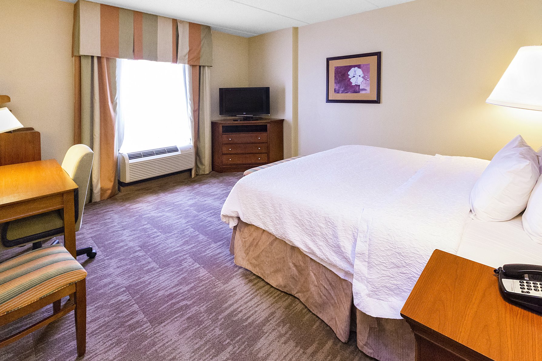 Hampton Inn & Suites by Hilton Blairsville Room Type - 1KNG MOB HEAR ACC W TUB NS