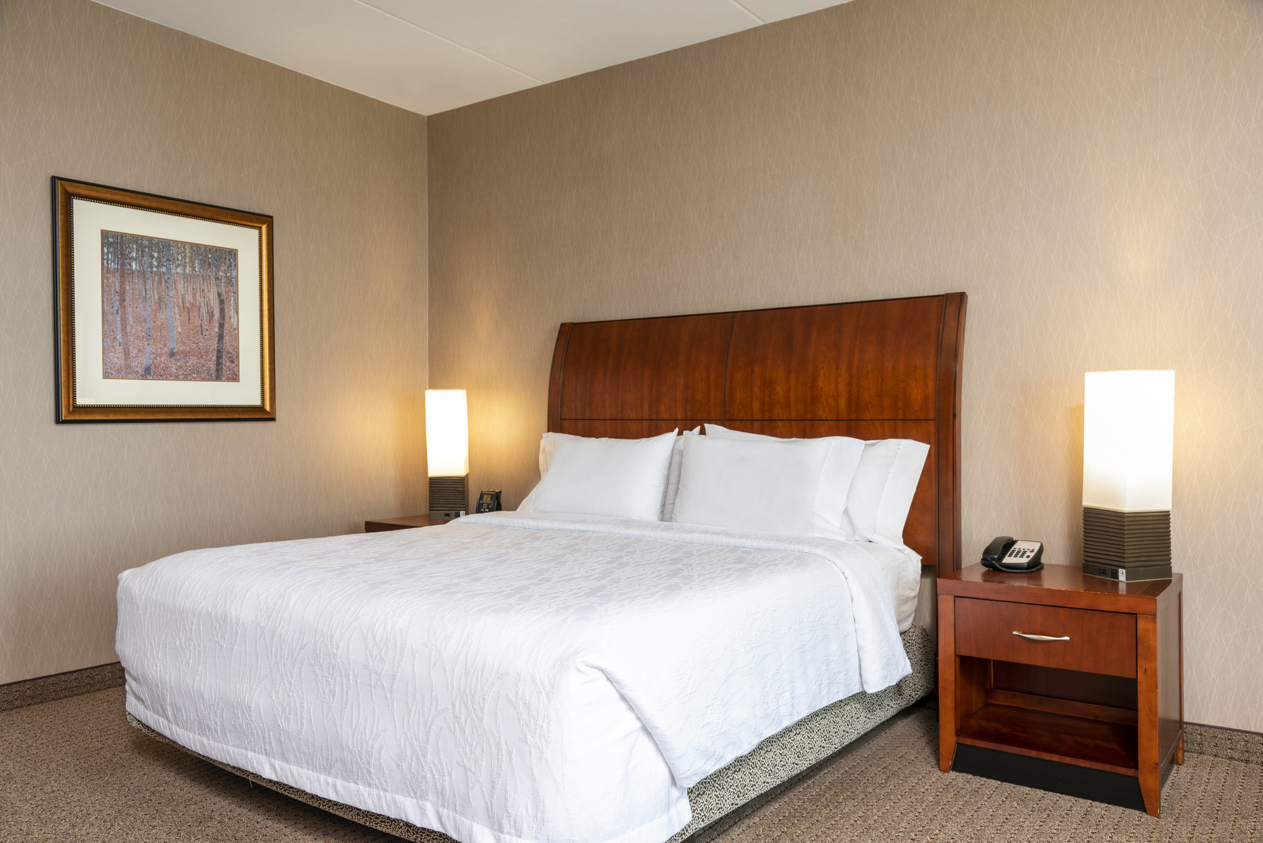Hilton Garden Inn Columbus/Edinburgh Room Type - 1KNG MOB HEARING ACC W TUB