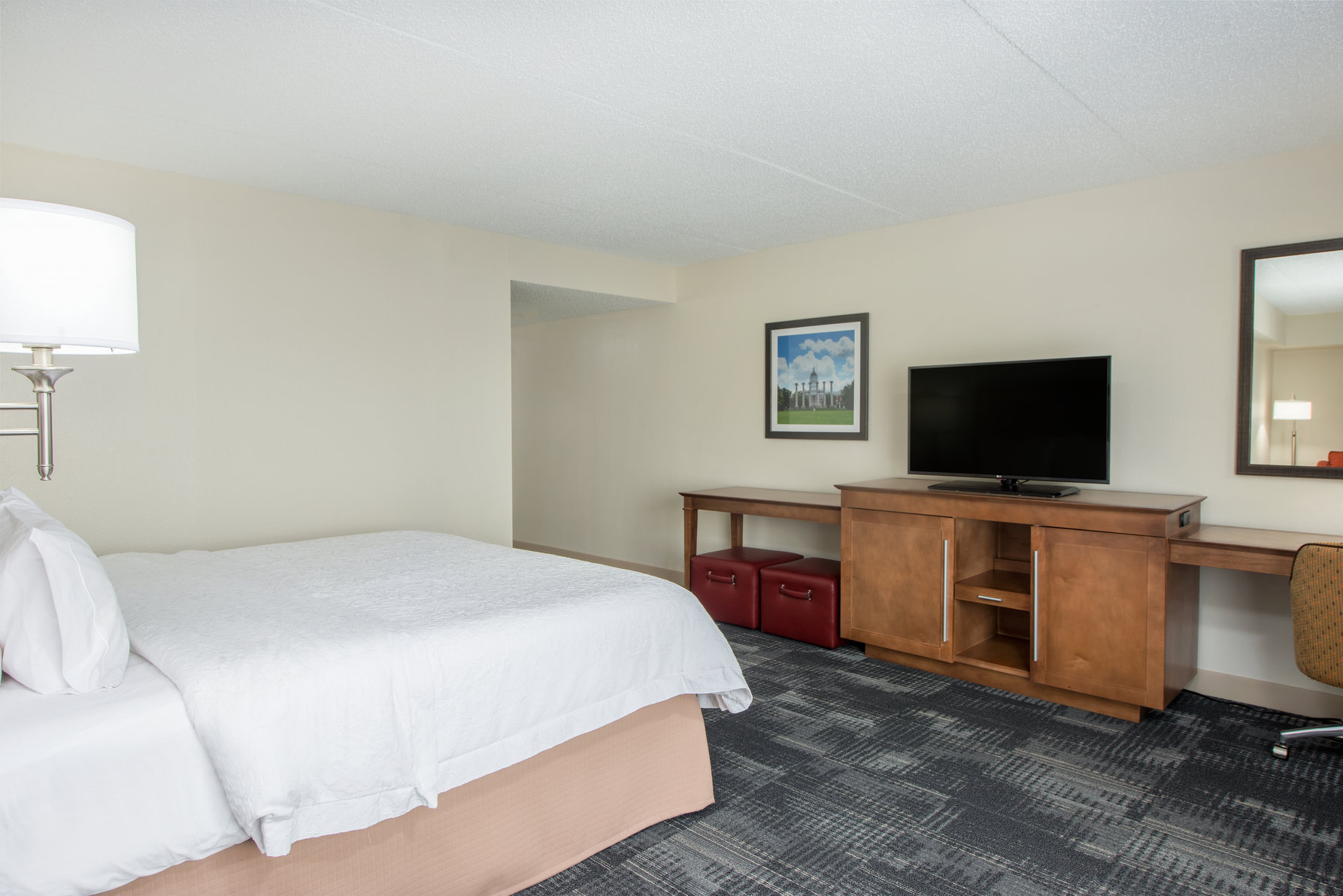 Hampton Inn Columbia Room Type - 1 KG EXEC STUDY SOFABED NS