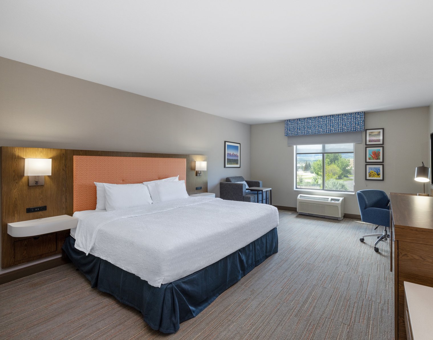 Hampton Inn & Suites by Hilton Casper Room Type - 1KNG MOB HEAR ACC W TUB NS