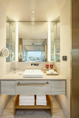 Deluxe Guest Bath Room