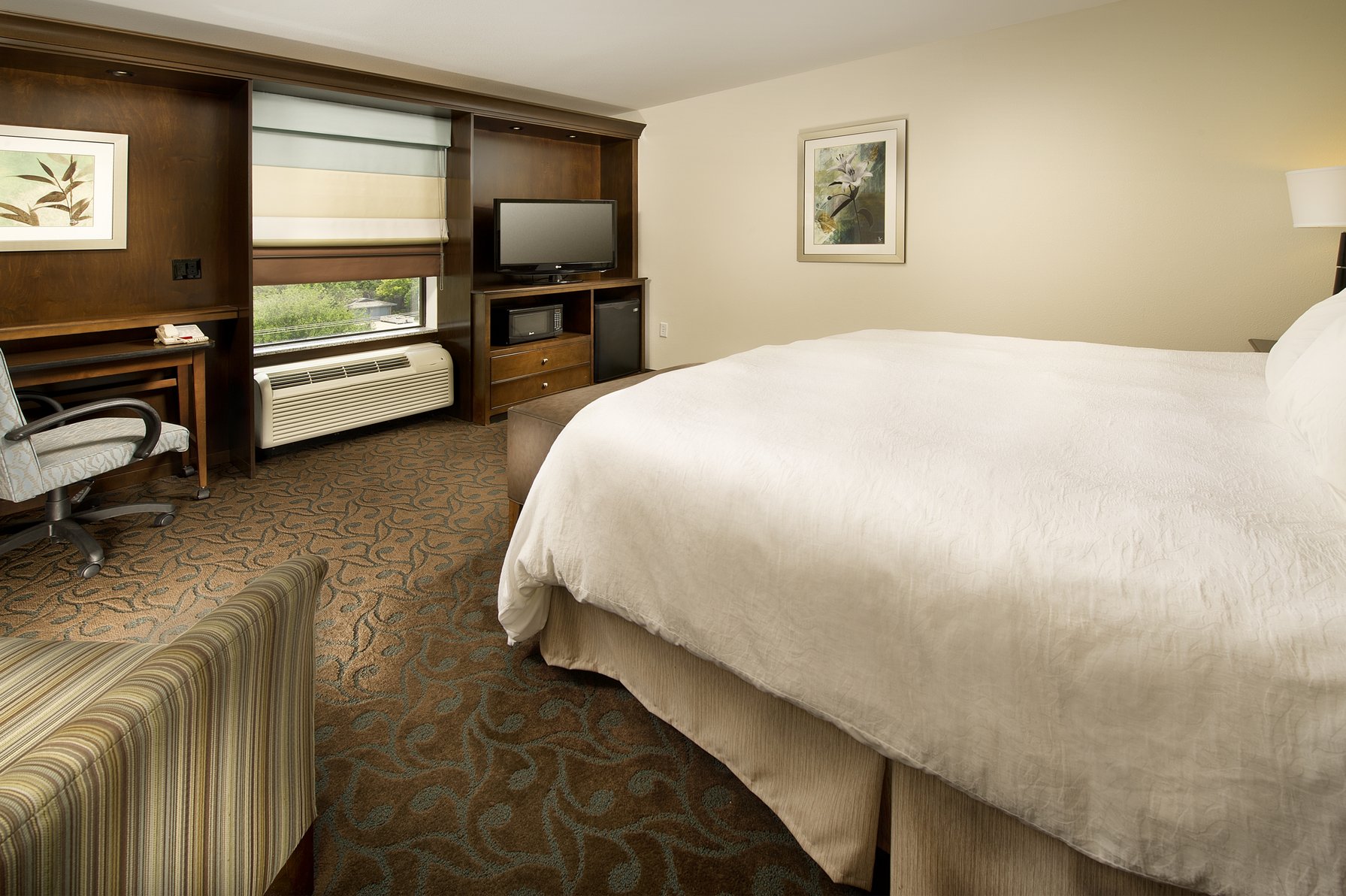 Hampton Inn Pampa TX Room Type - 1KNG MOB HEAR ACC W TUB NS