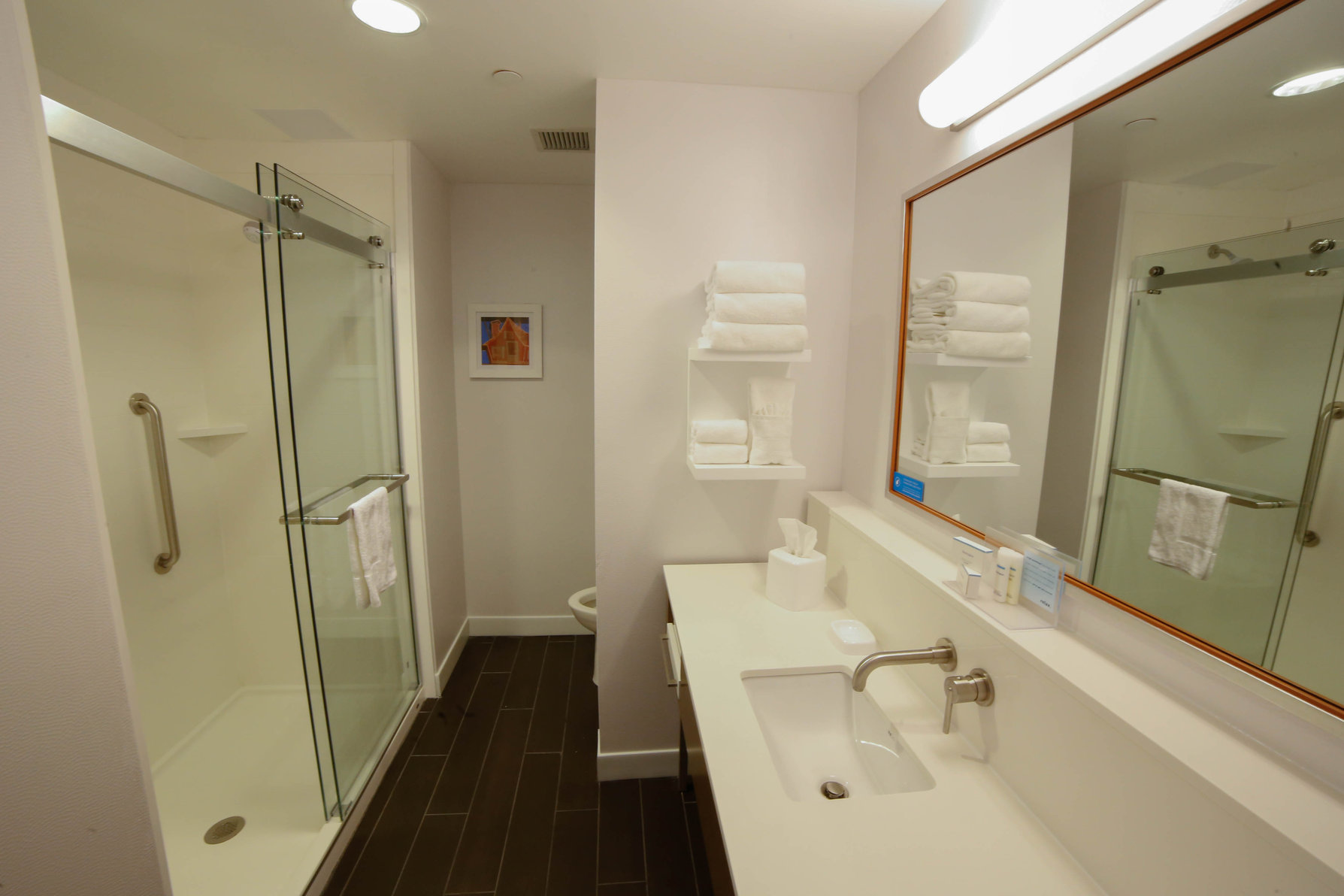 Hampton Inn & Suites by Hilton Forest City Room Type - 1 KING SFBD MIC FRG NS