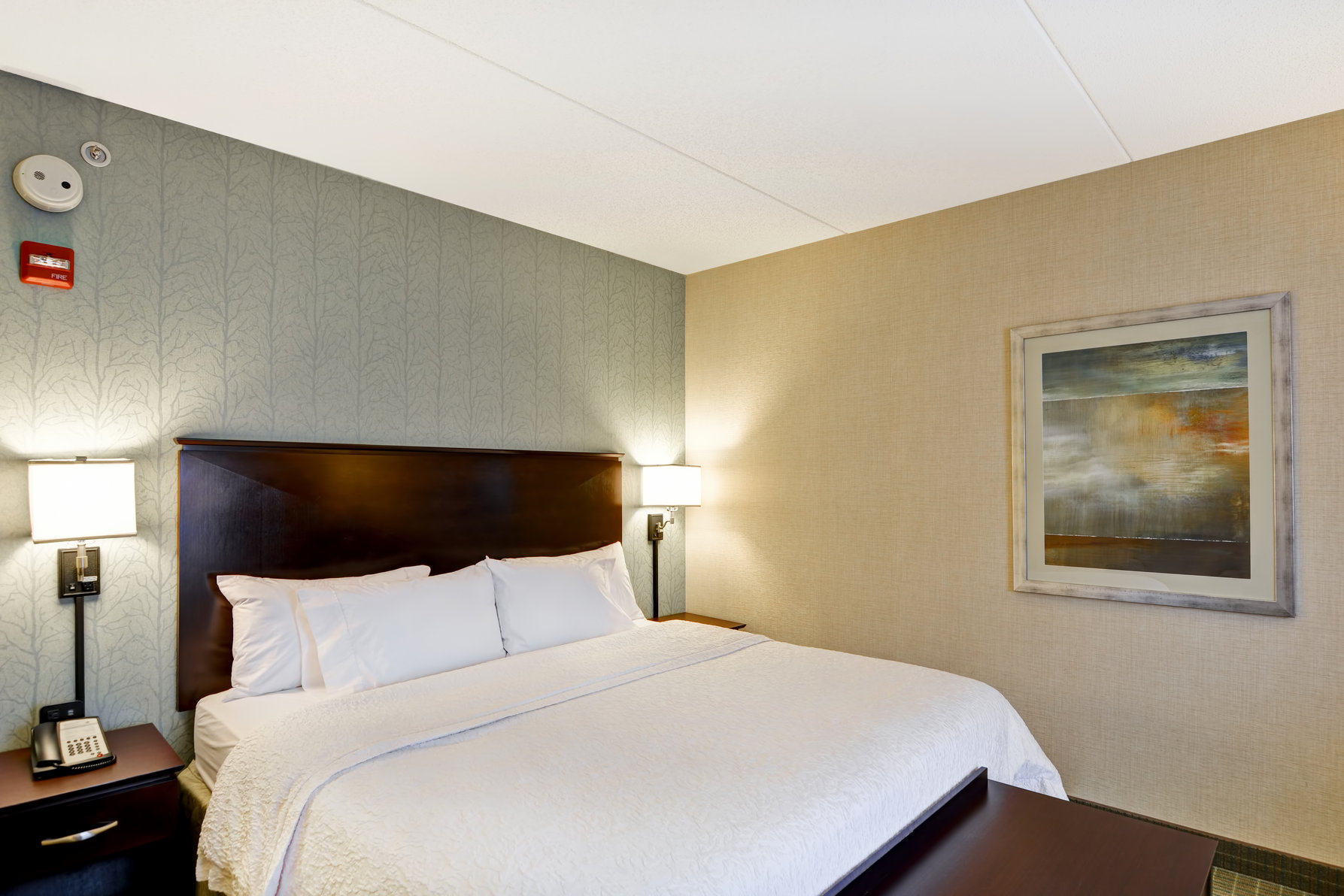 Hampton Inn & Suites Wilkes-Barre/Scranton Room Type - 1 KING BED - SHOWER ONLY