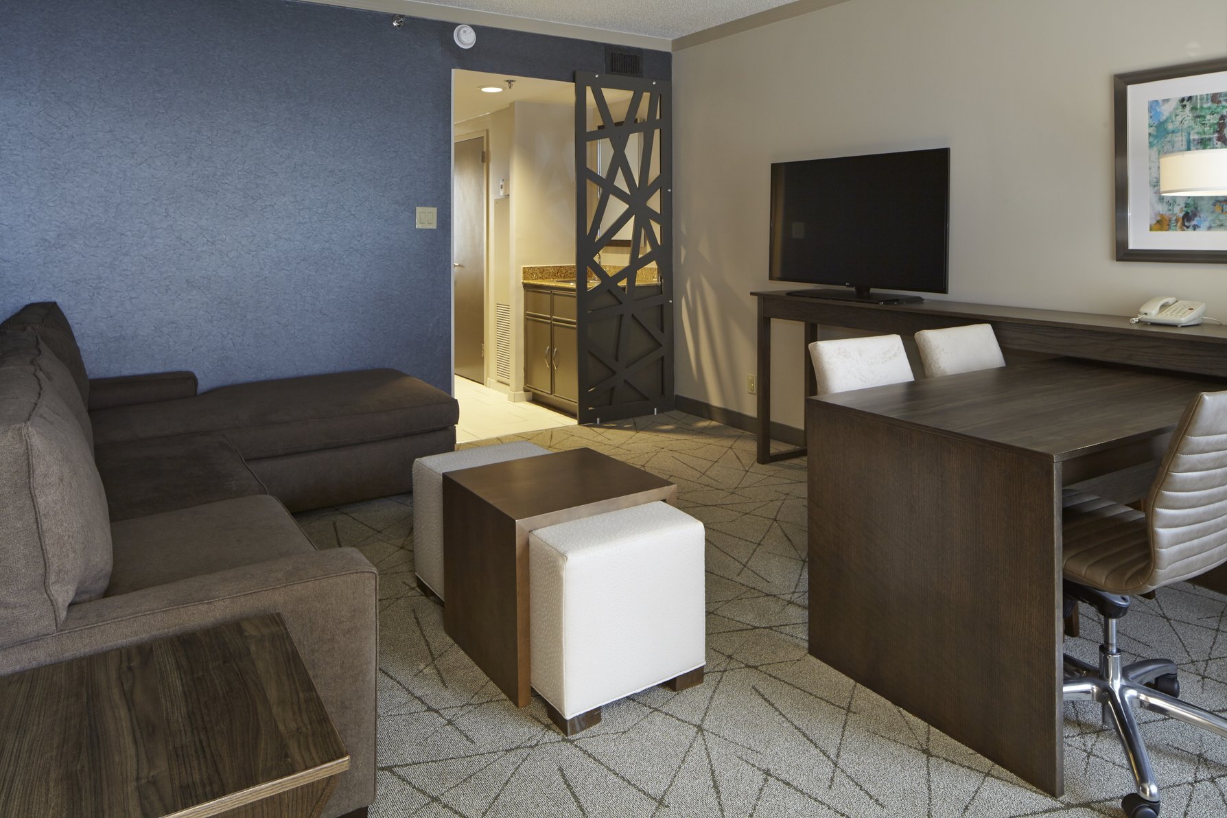 Embassy Suites Atlanta - Galleria Room Type - 1KG PRMIUM STE ACC RIS NS