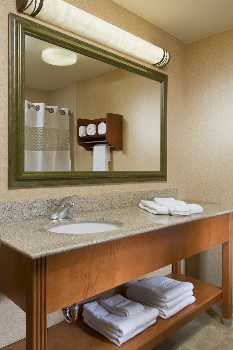 Hampton Inn Chicago-Tinley Park Room Type - 1 KNG ACC TUB SOFABED NS