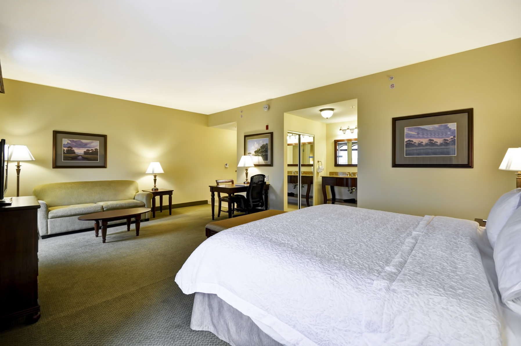 Hampton Inn & Suites North Charleston-University Blvd Room Type - 1KNG STUDIO SOFABED NOSMOK