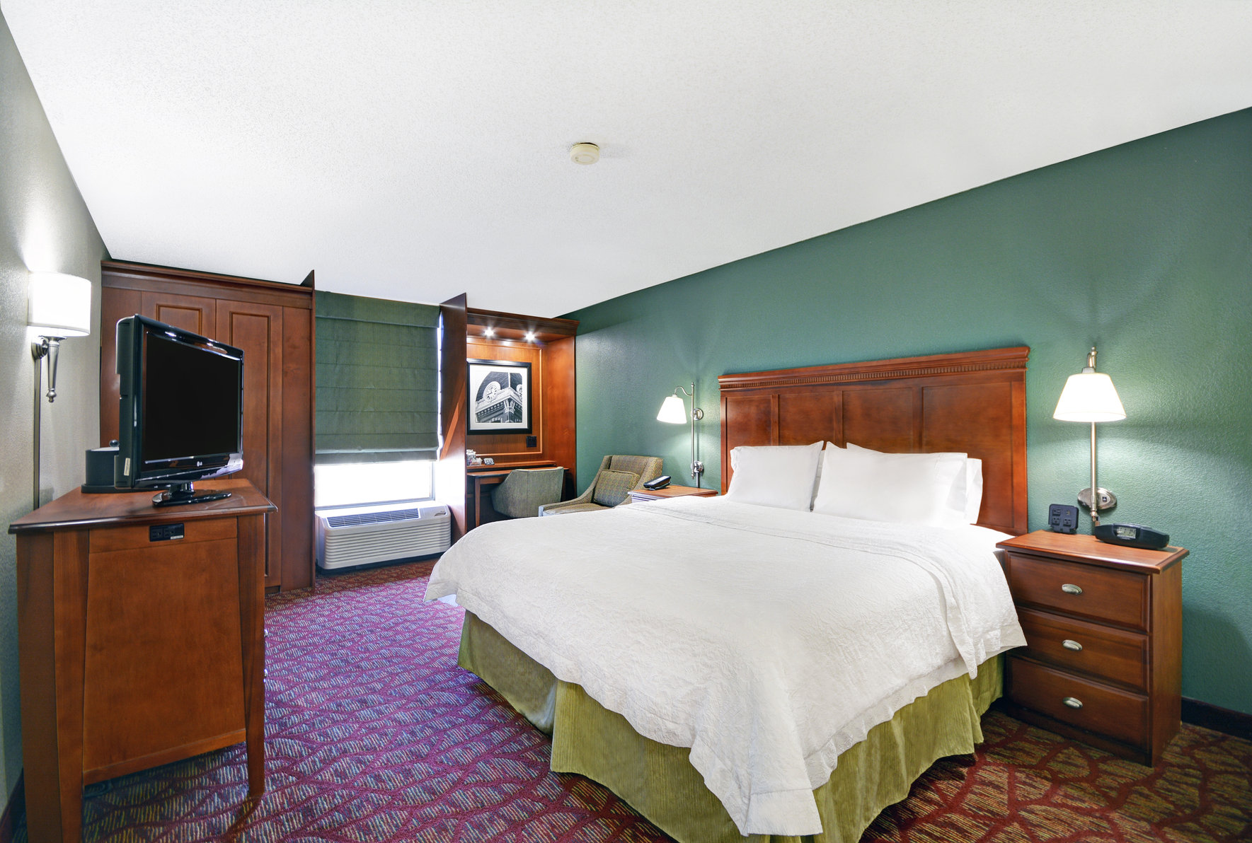 Hampton Inn by Hilton Athens Room Type - 1 KING BED NS W SLEEPER