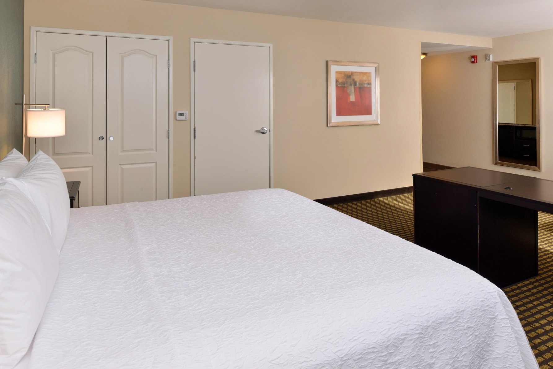 Hampton Inn & Suites by Hilton Douglas Room Type - 1KN HEARING ACC STUDIO NS