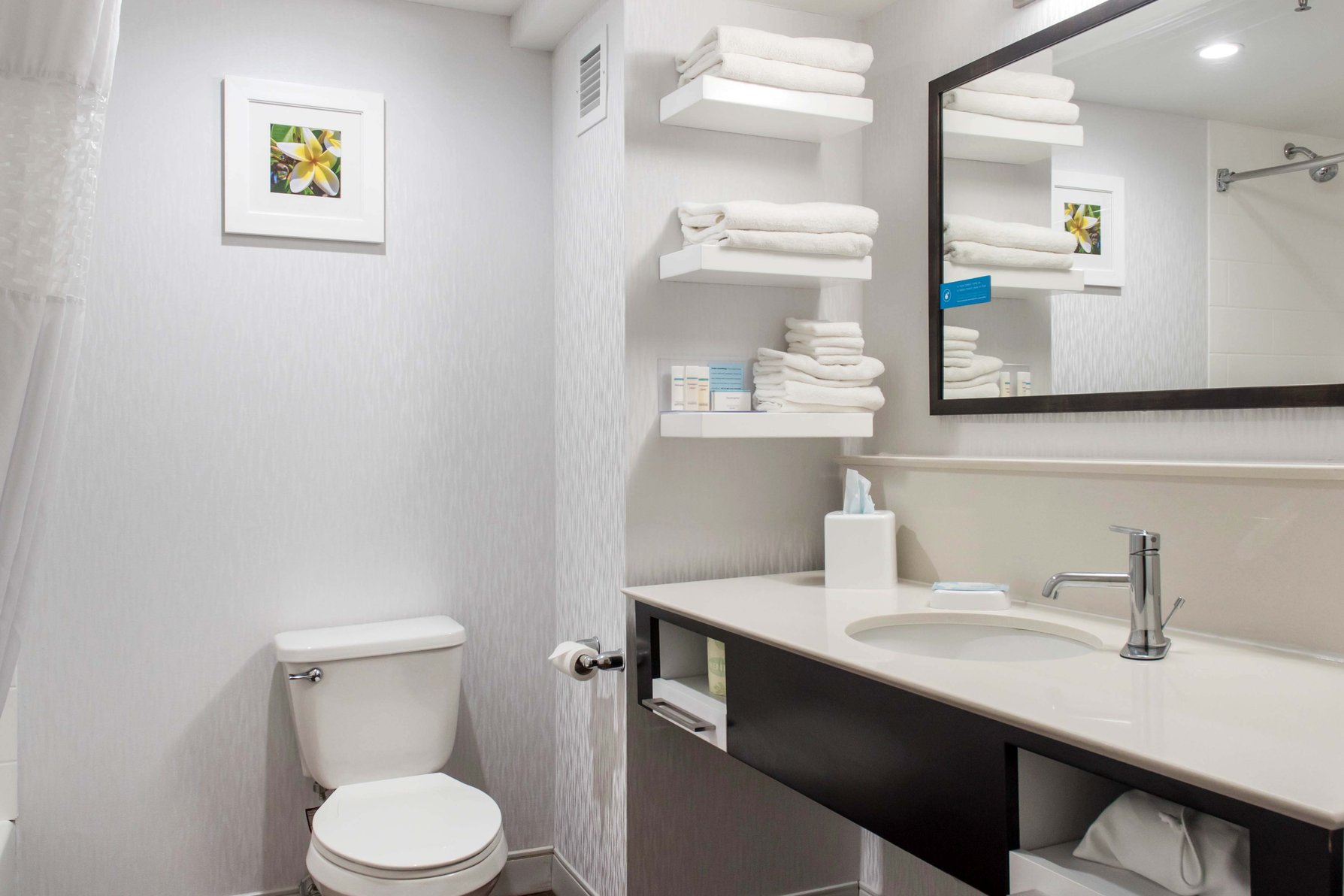 HAMPTON INN DOUGLAS GA Room Type - 1 KNG ACCESSIBLE TUB NS