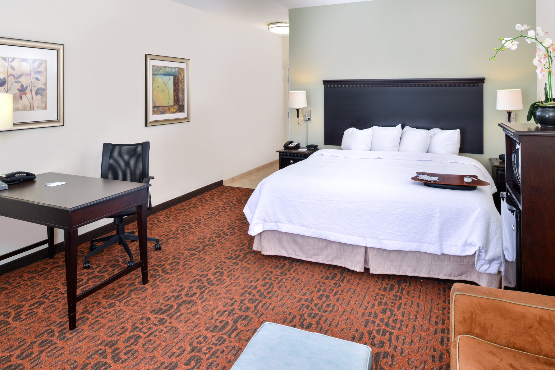 Hampton Inn Pecos Room Type - 1 KNG ACC ROLLIN SHWR NS