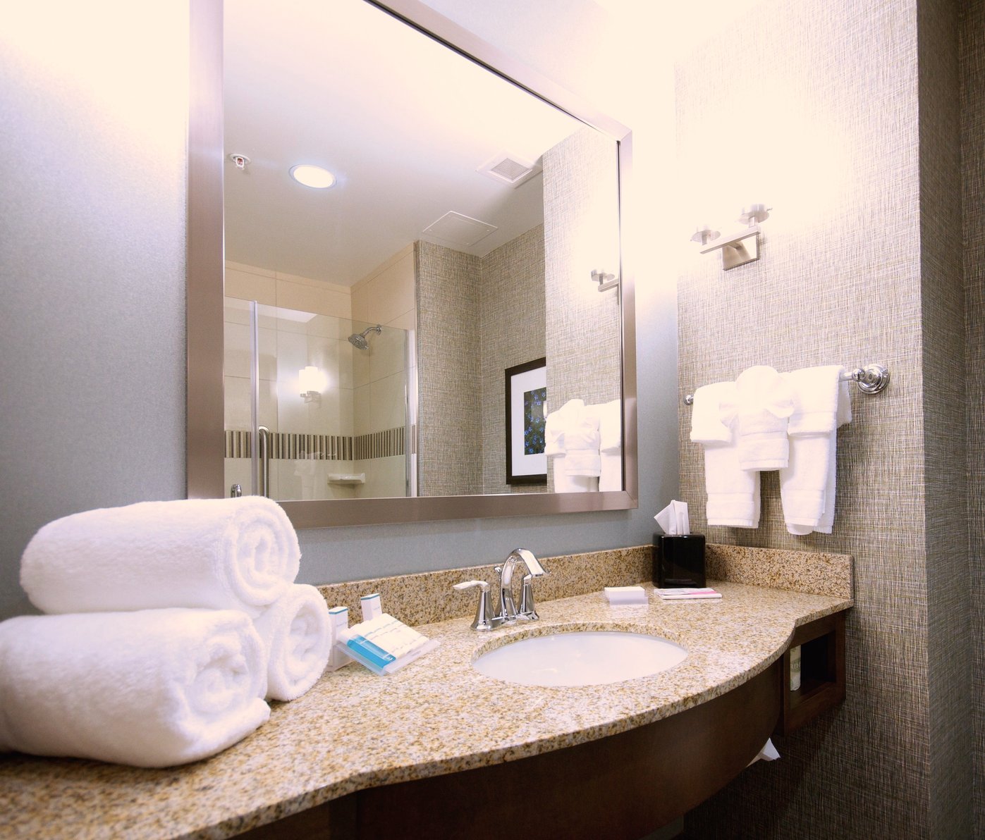 Hilton Garden Inn Hickory, NC Room Type - 1 KING ACC RM ROLLIN SHWR