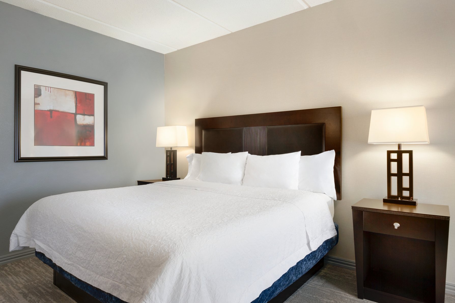 Hampton Inn and Suites Houston Clear Lake NASA Room Type - 1 KING BED NONSMOKING