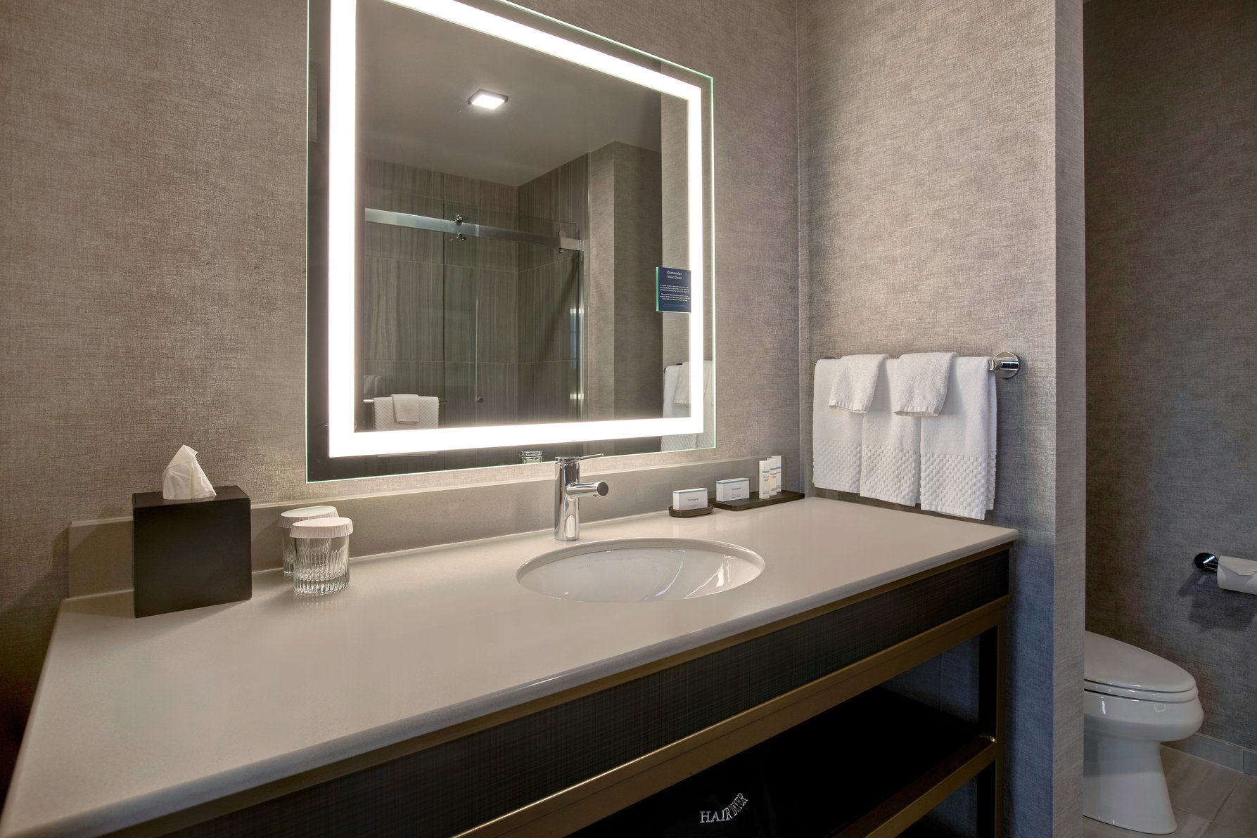 Embassy Suites by Hilton Rockford Riverfront Room Type - 1KG 2RM CRNER STE RIVER VW