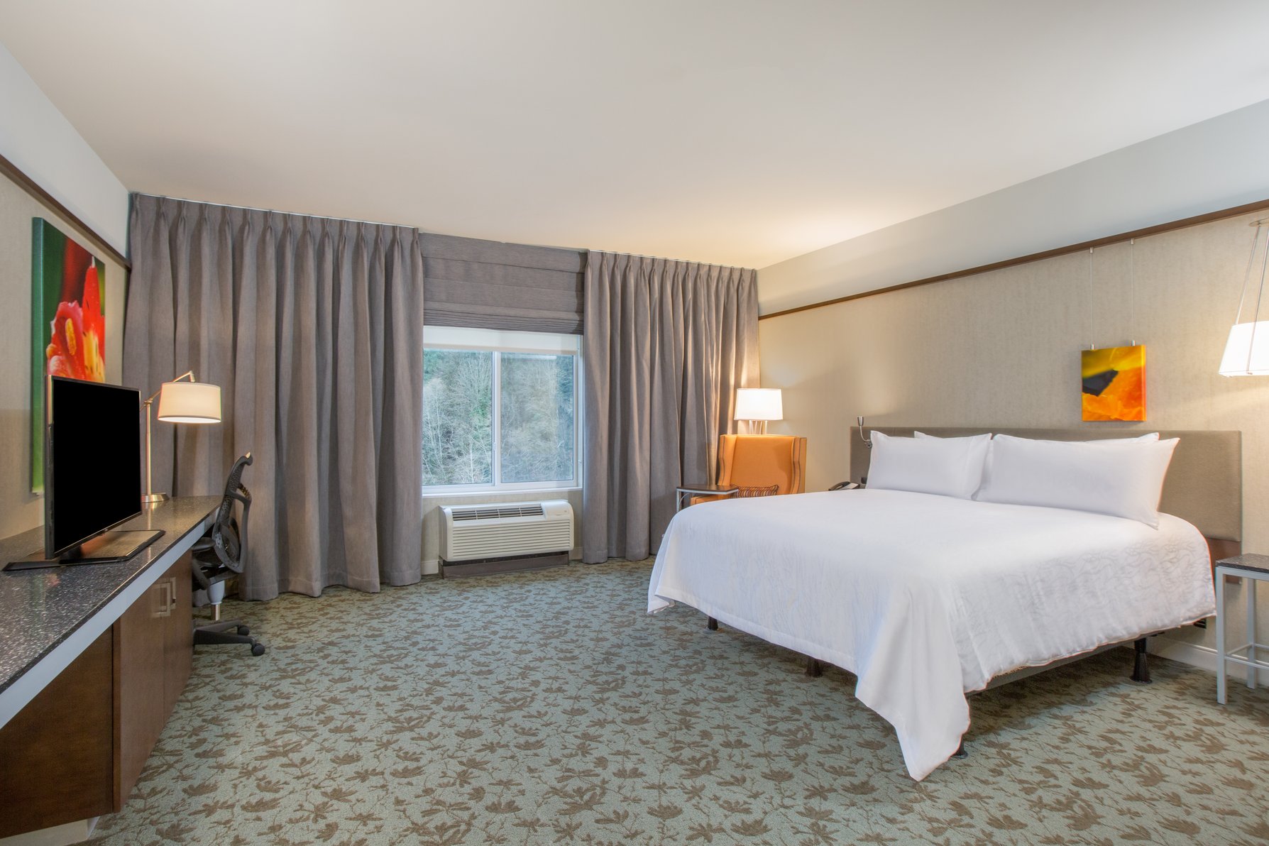 Hilton Garden Inn Olympia, WA Room Type - 1 KING ACC RM ROLLIN SHWR