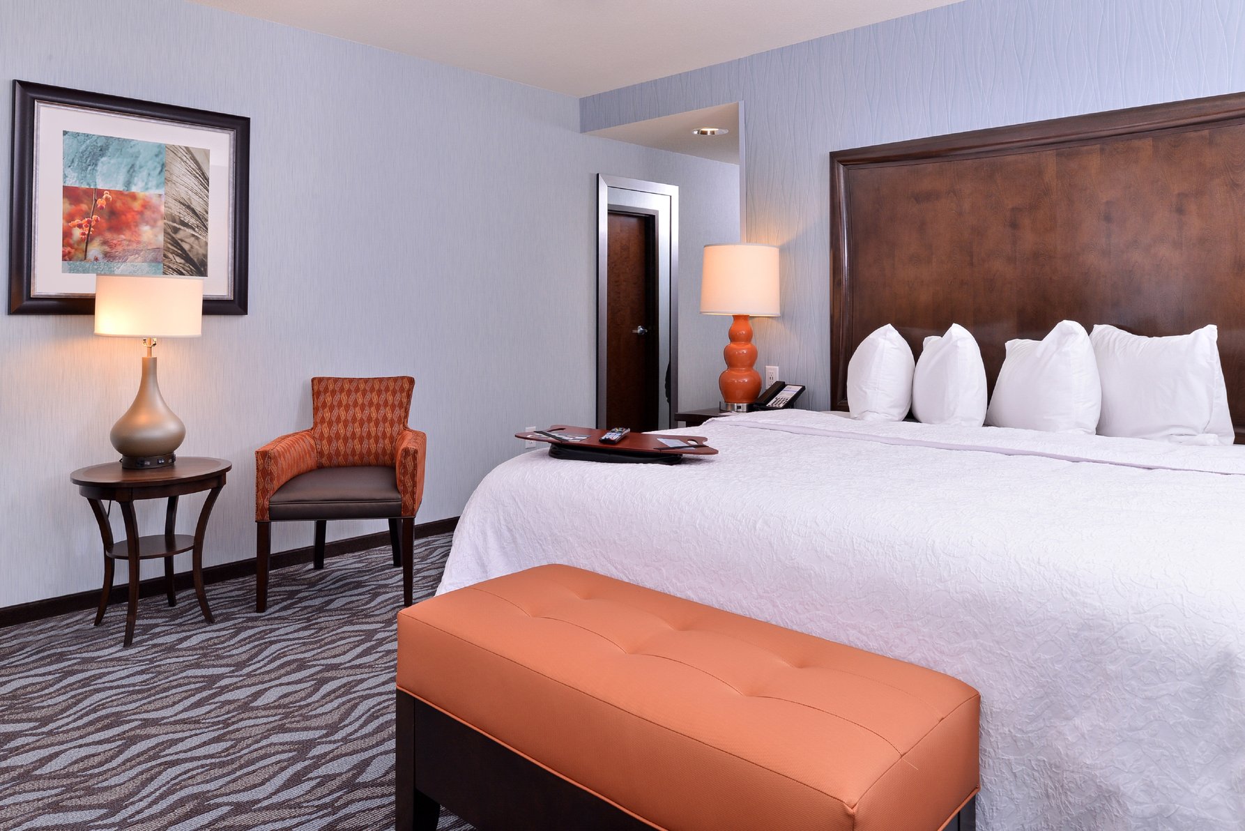 Hampton Inn by Hilton Potsdam, NY Room Type - 1 KNG ACC ROLLIN SHWR NS