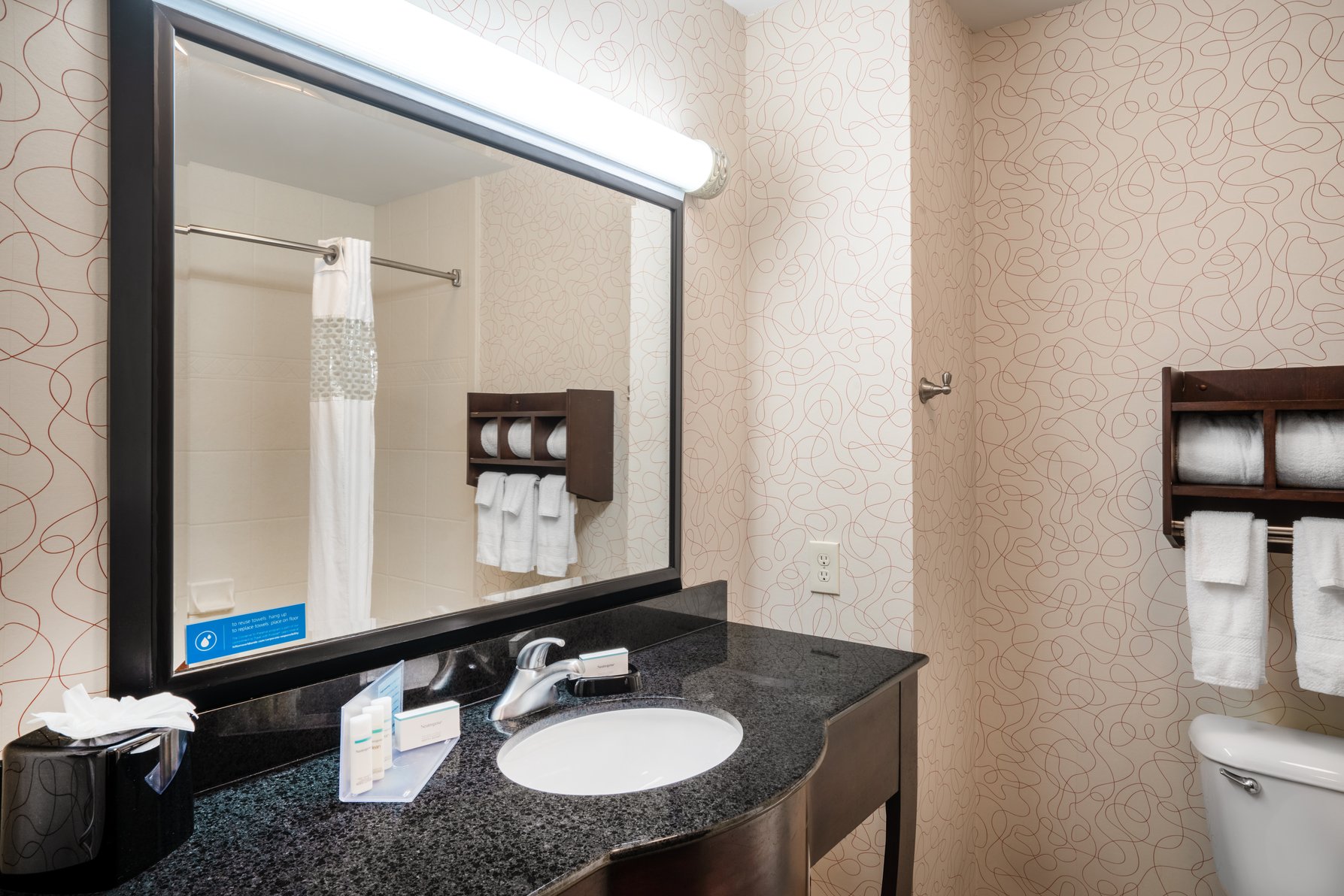Hampton Inn Richmond Airport Room Type - 2QN MOB HEAR ACC RI-SHW NS
