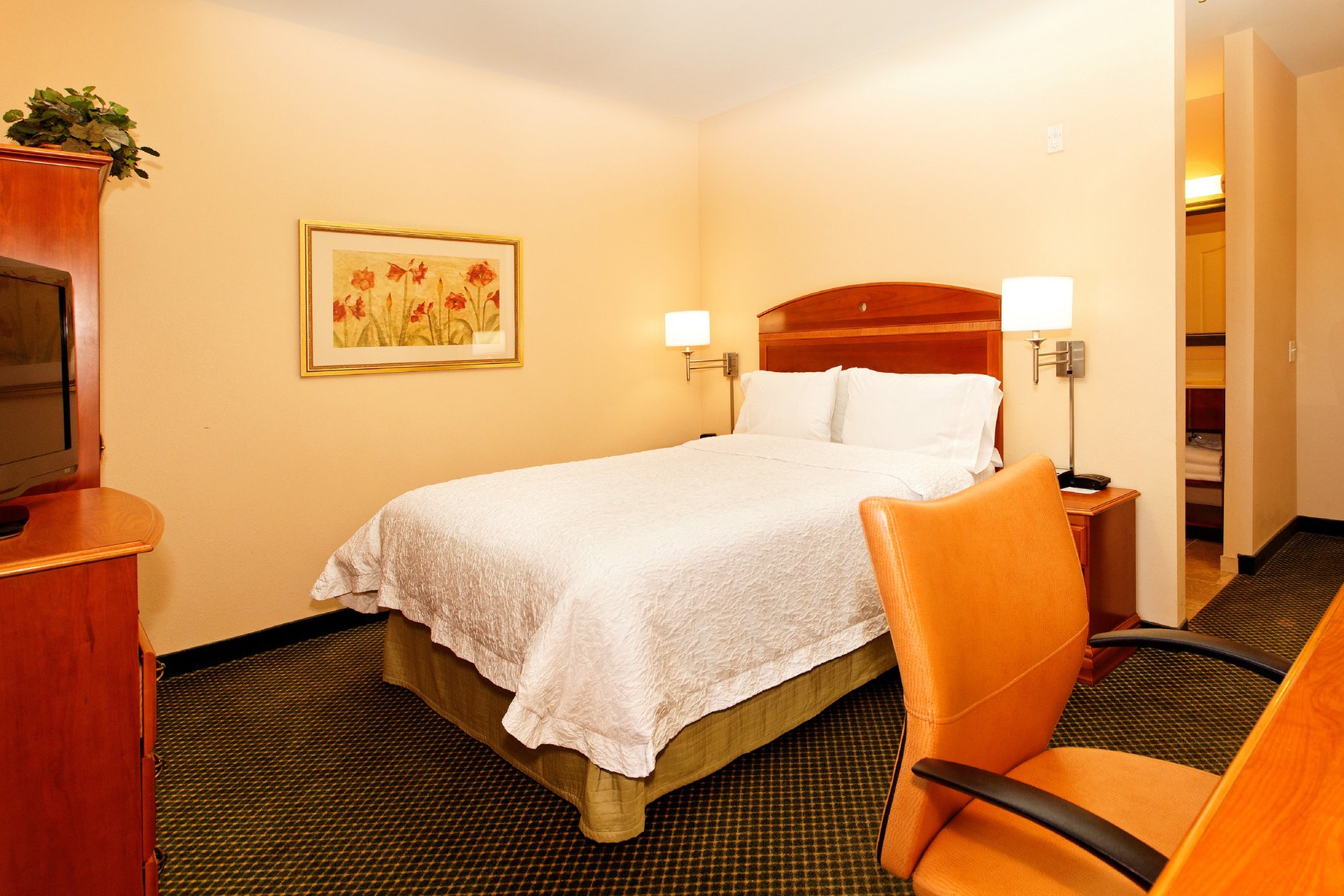 Hampton Inn by Hilton Montrose Room Type - 1QN MOB HEAR ACC RI-SHW NS