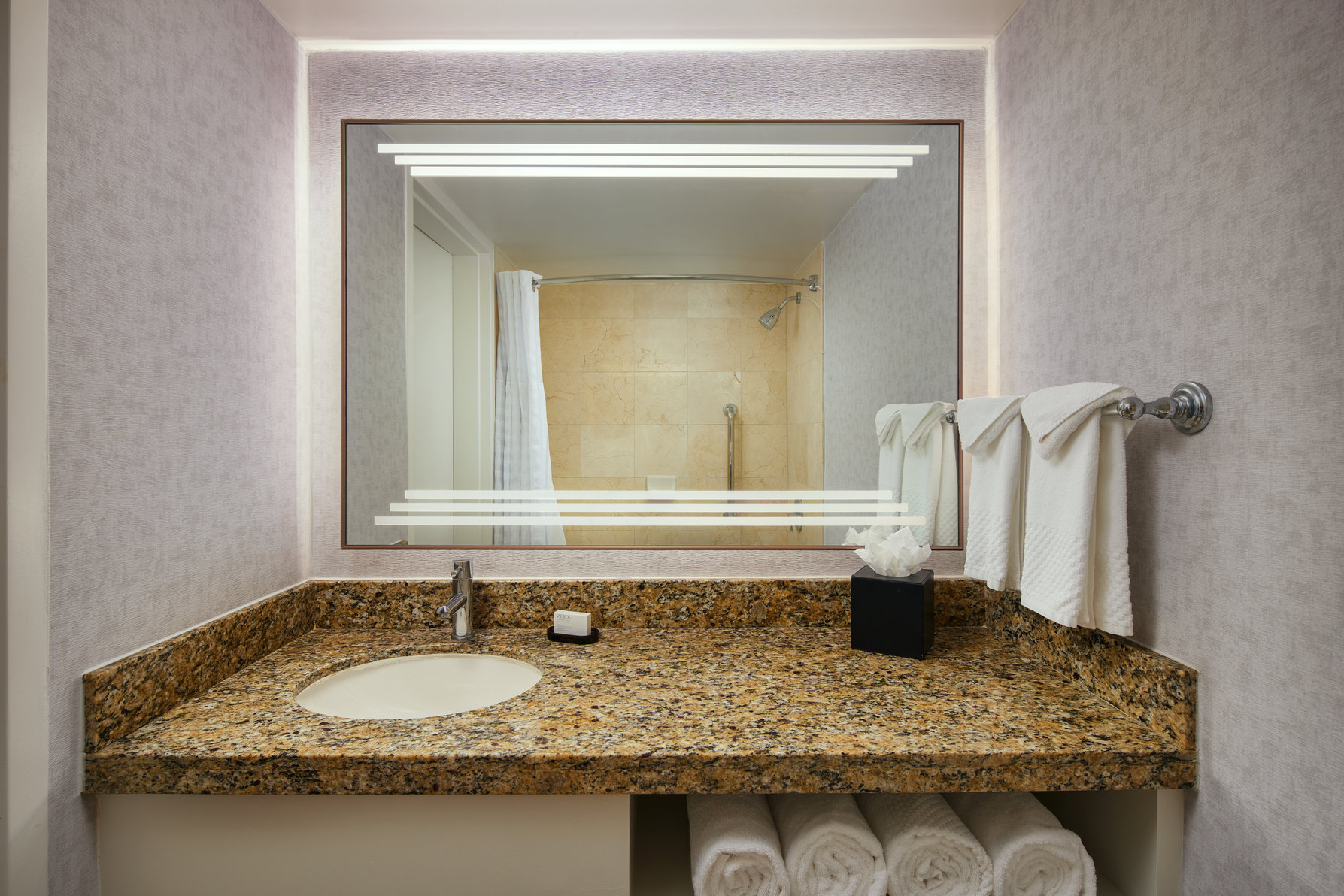 Embassy Suites by Hilton West Palm Beach Central Room Type - 1 KING PREMIUM SUITE