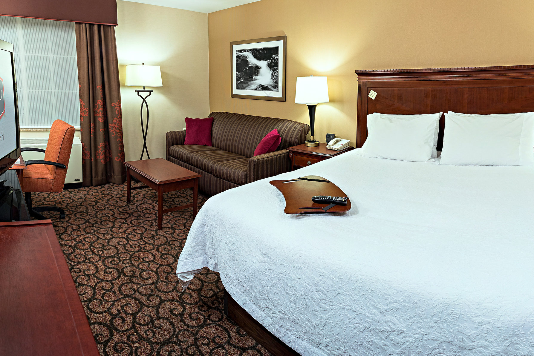 Hampton Inn by Hilton Littleton Room Type - 1 KING SFBD MIC FRG NS