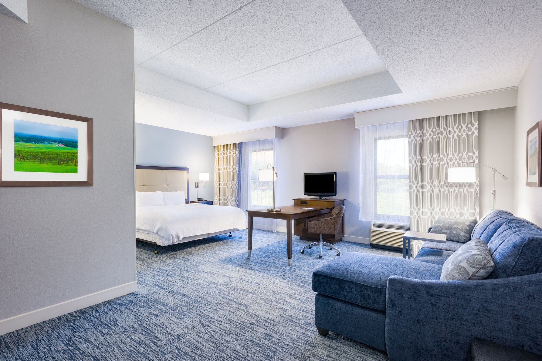 Hampton Inn by Hilton Mount Airy Room Type - 1 KNG ACC ROLLIN SHWR NS