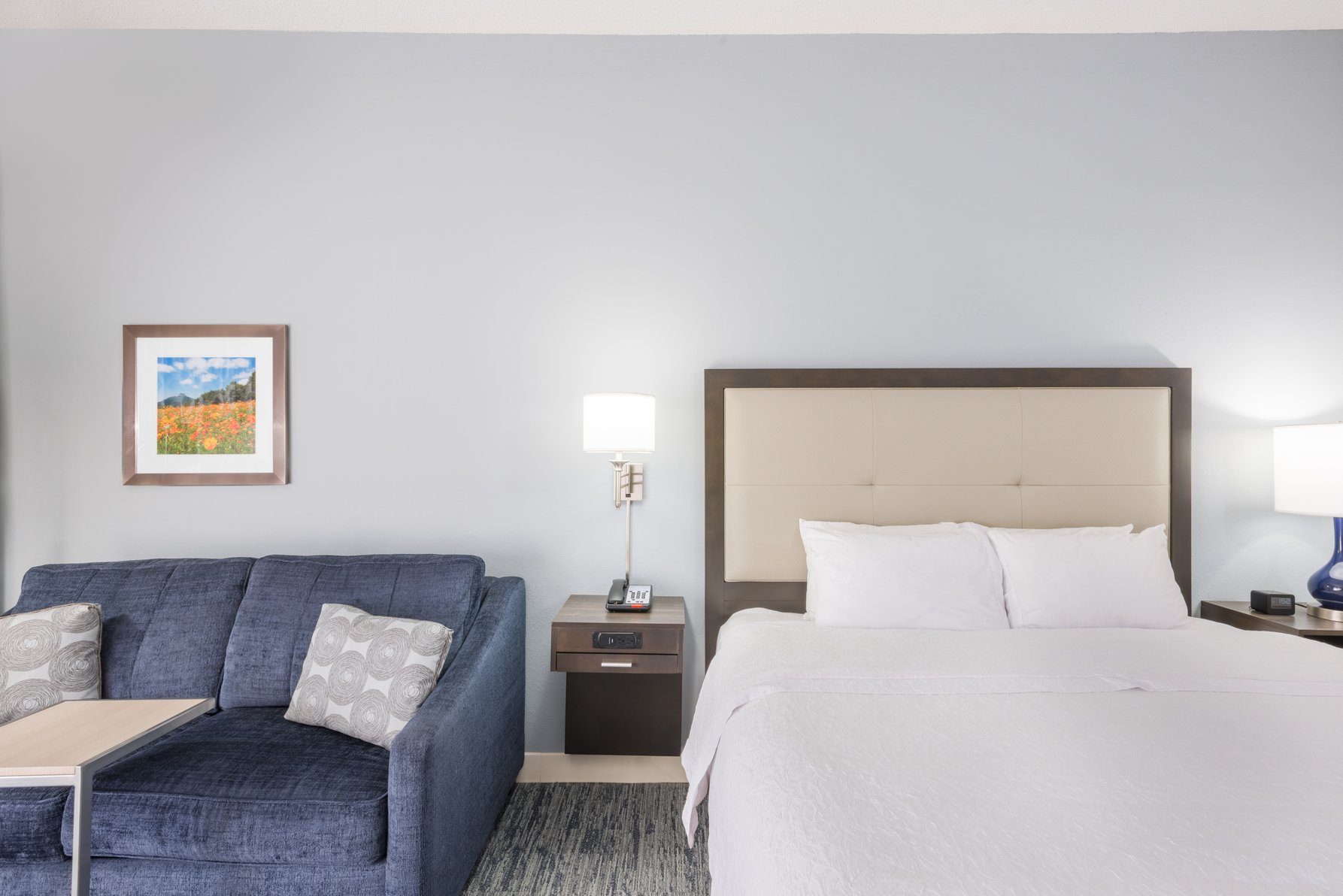 Hampton Inn by Hilton Mount Airy Room Type - 1 KING SFBD FRIDGE  NS