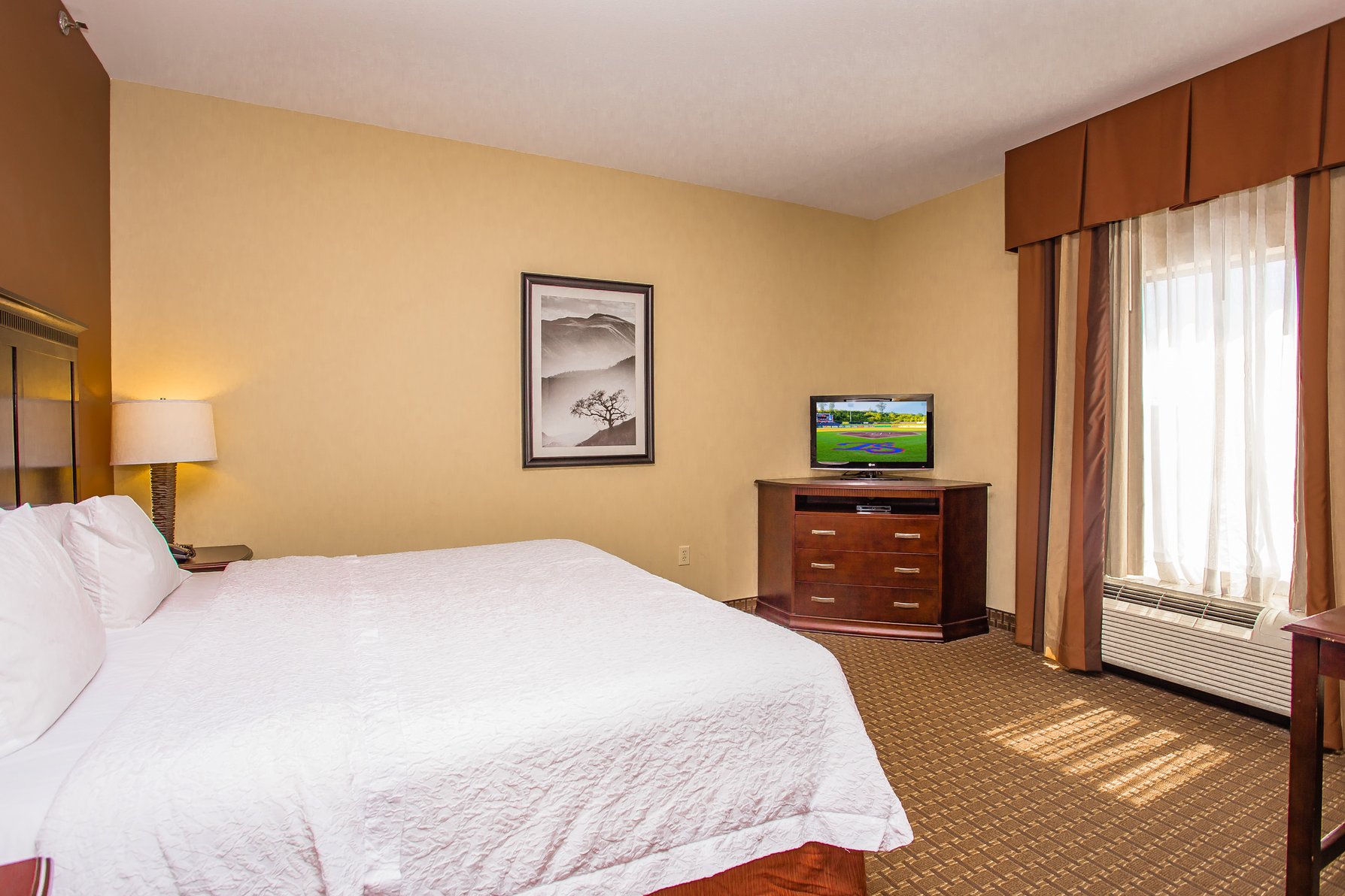 Hampton Inn & Suites Sevierville at Stadium Drive Room Type - 1 KING BED NONSMOKING