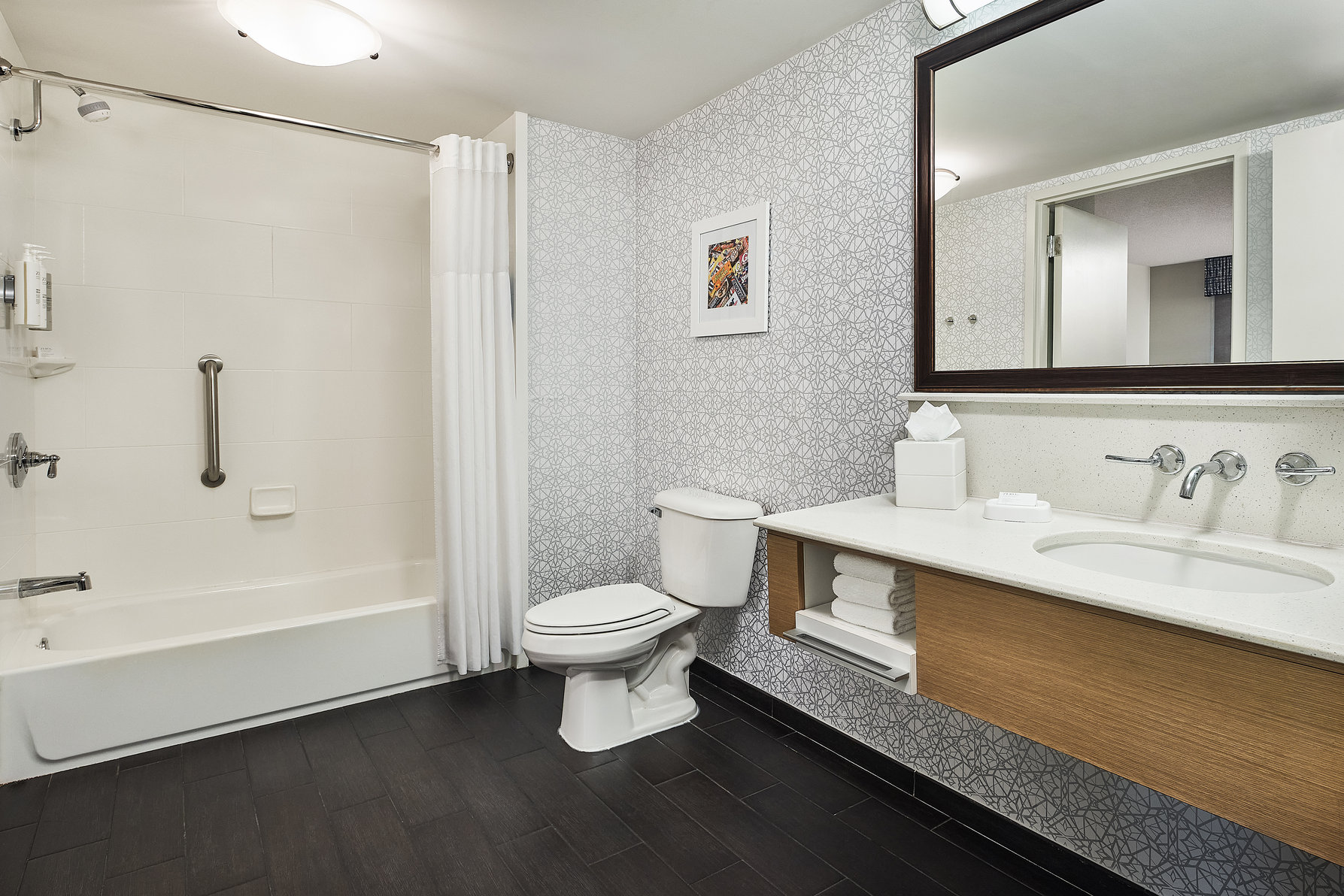 Hampton Inn & Suites by Hilton Hershey Near The Park Room Type - 1KNG STE MIC FRIDG WTBR NS