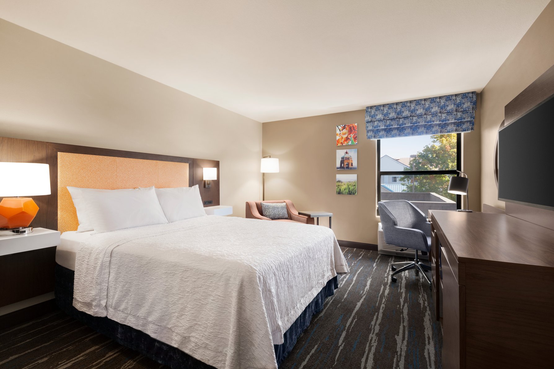 Hampton Inn by Hilton Tracy Room Type - SINGLE QN-NON SMOKING