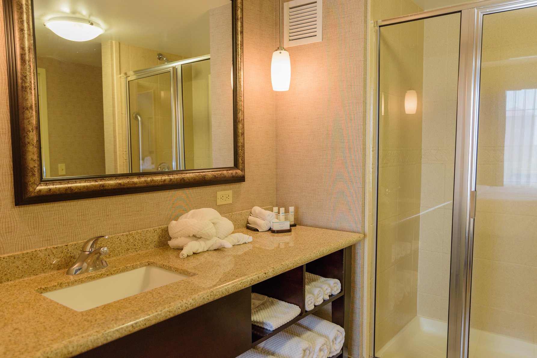 Embassy Suites Minneapolis - North Room Type - 1 KING 1 BDRM STE NONSMOK