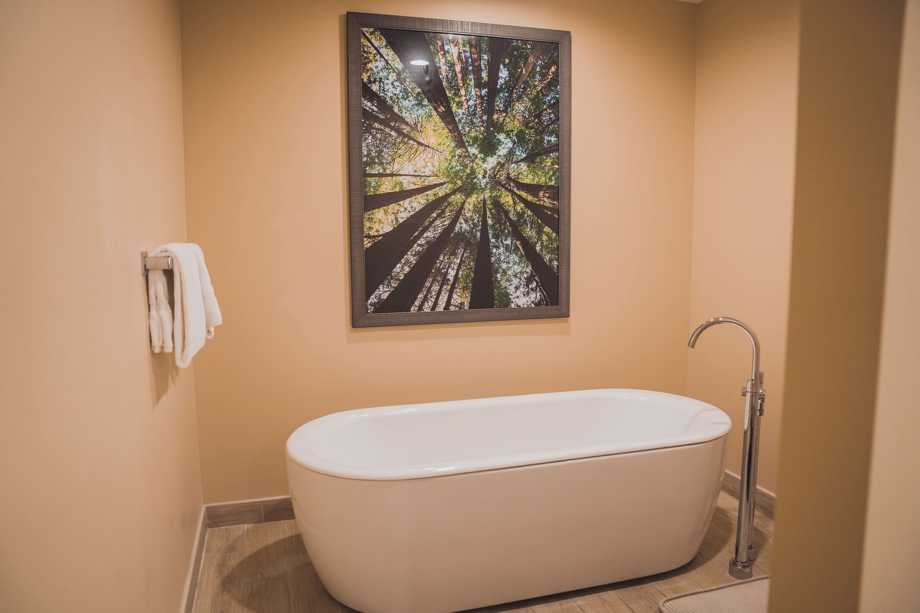 Tailwater Lodge Altmar, Tapestry Collection By Hilton Room Type - TAILWATER STE 1 KING BED