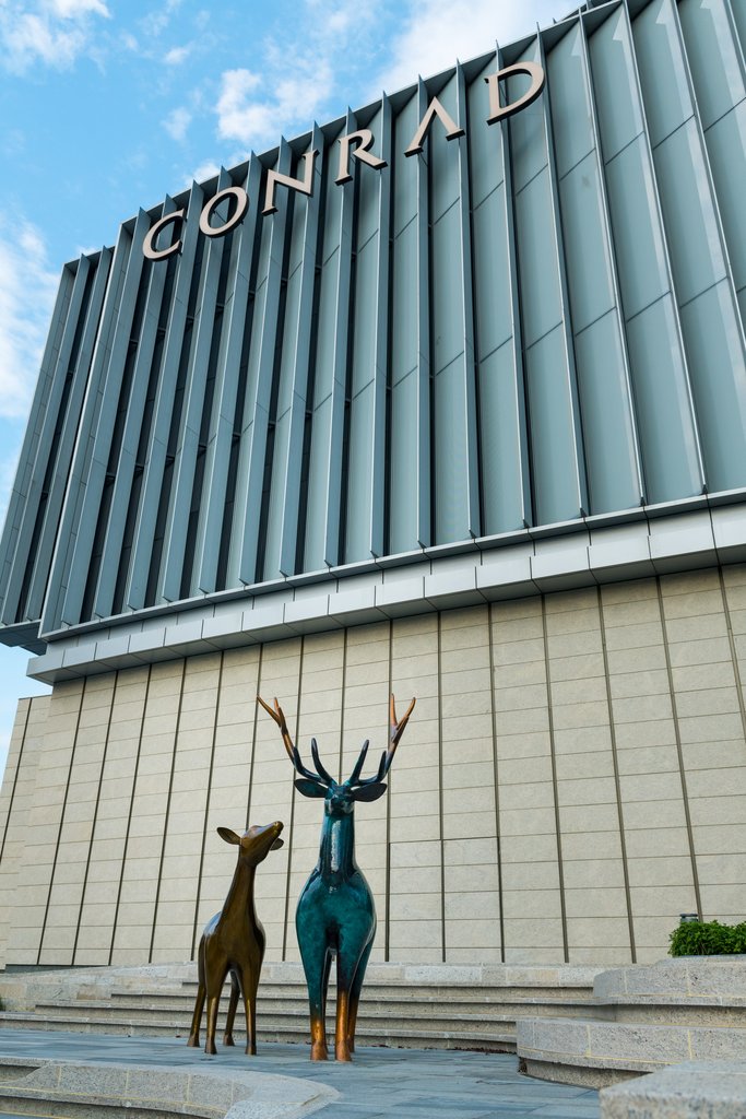 Guest photo