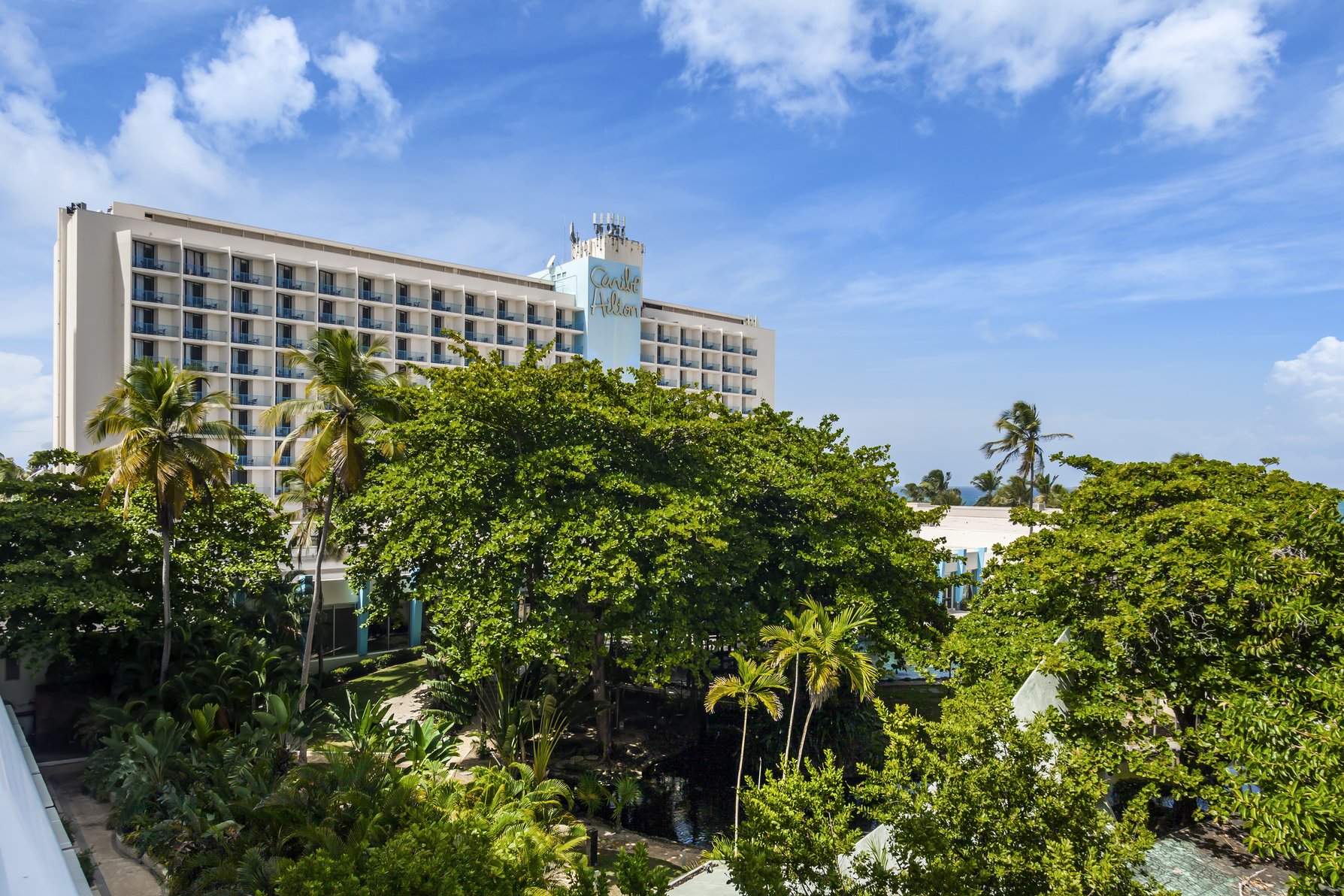 Caribe Hilton Room Type - CARIBE GARDEN VW - 1KNG