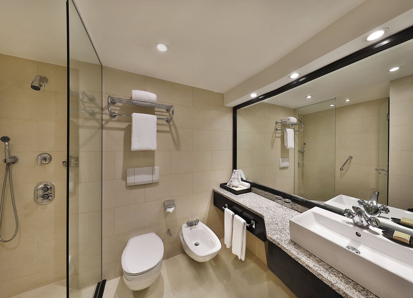 Hilton Cairo Heliopolis Room Type - Executive King Room with Pool View