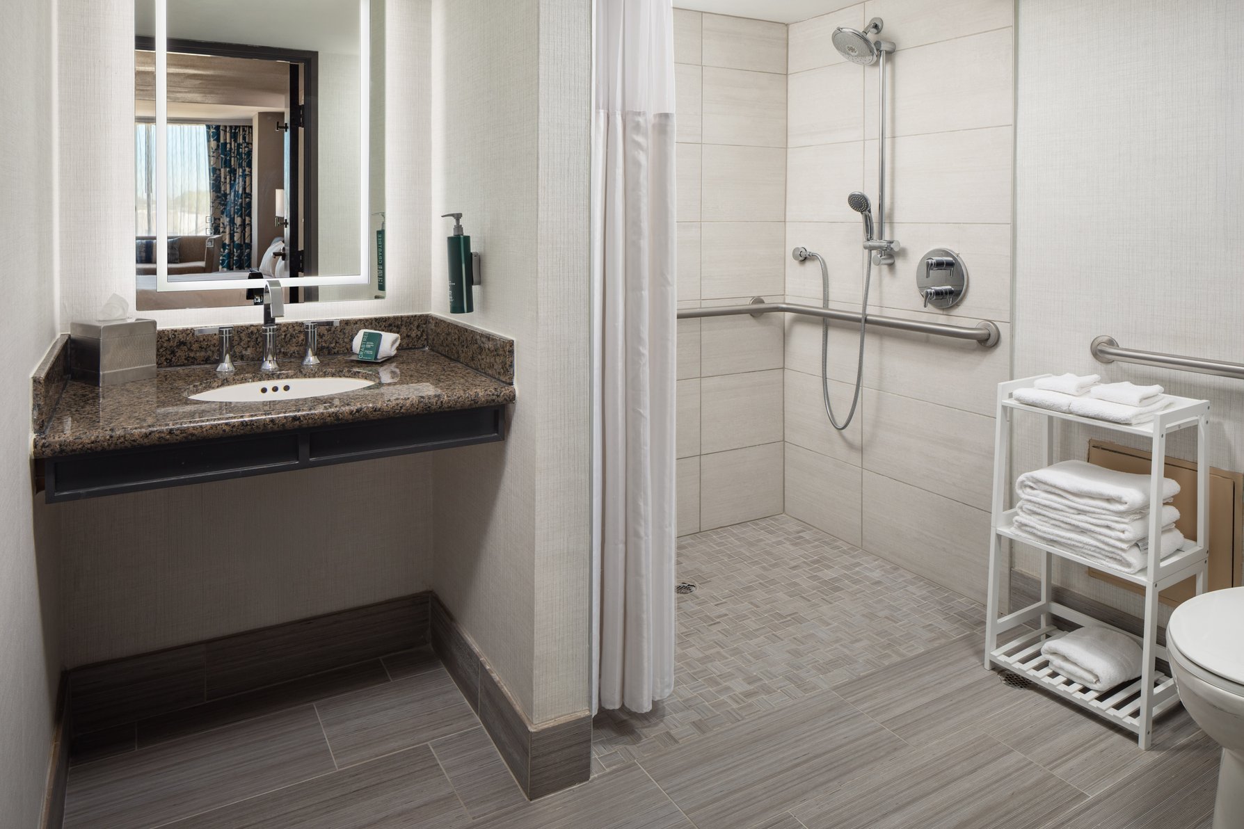 Hilton Arlington Room Type - 1K DLX MOB HR ACC RIS