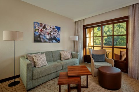 Deluxe for Families - Sofa Bed