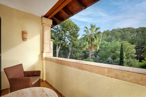 View from Queen Superior Guest Room - Balcony