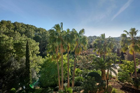 View from Junior Suite - Resort View