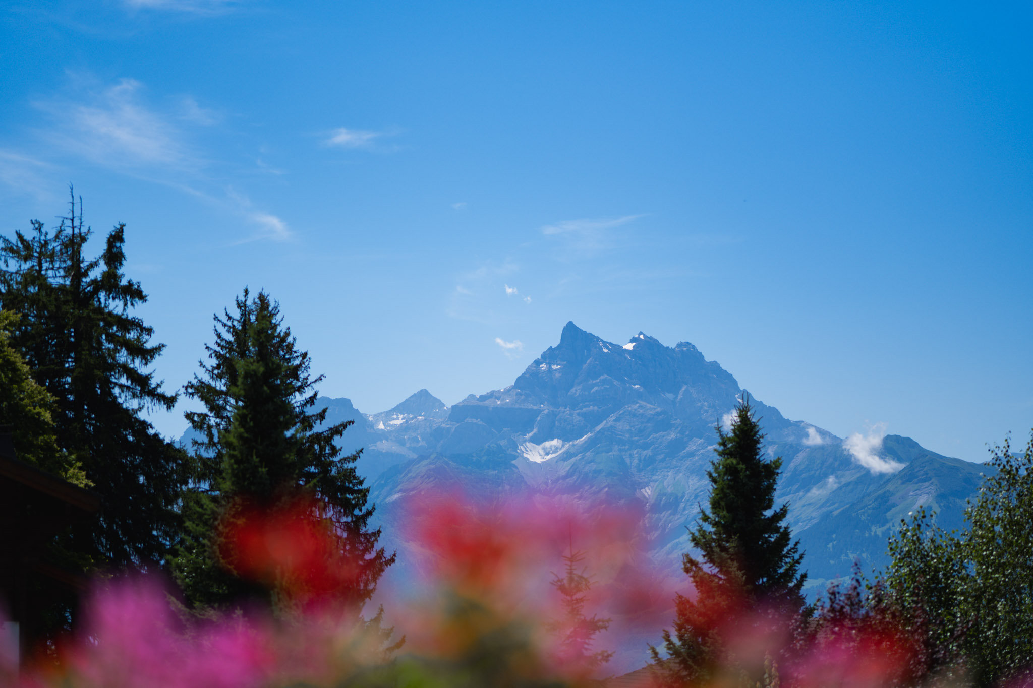 Chalet RoyAlp Hotel & Spa