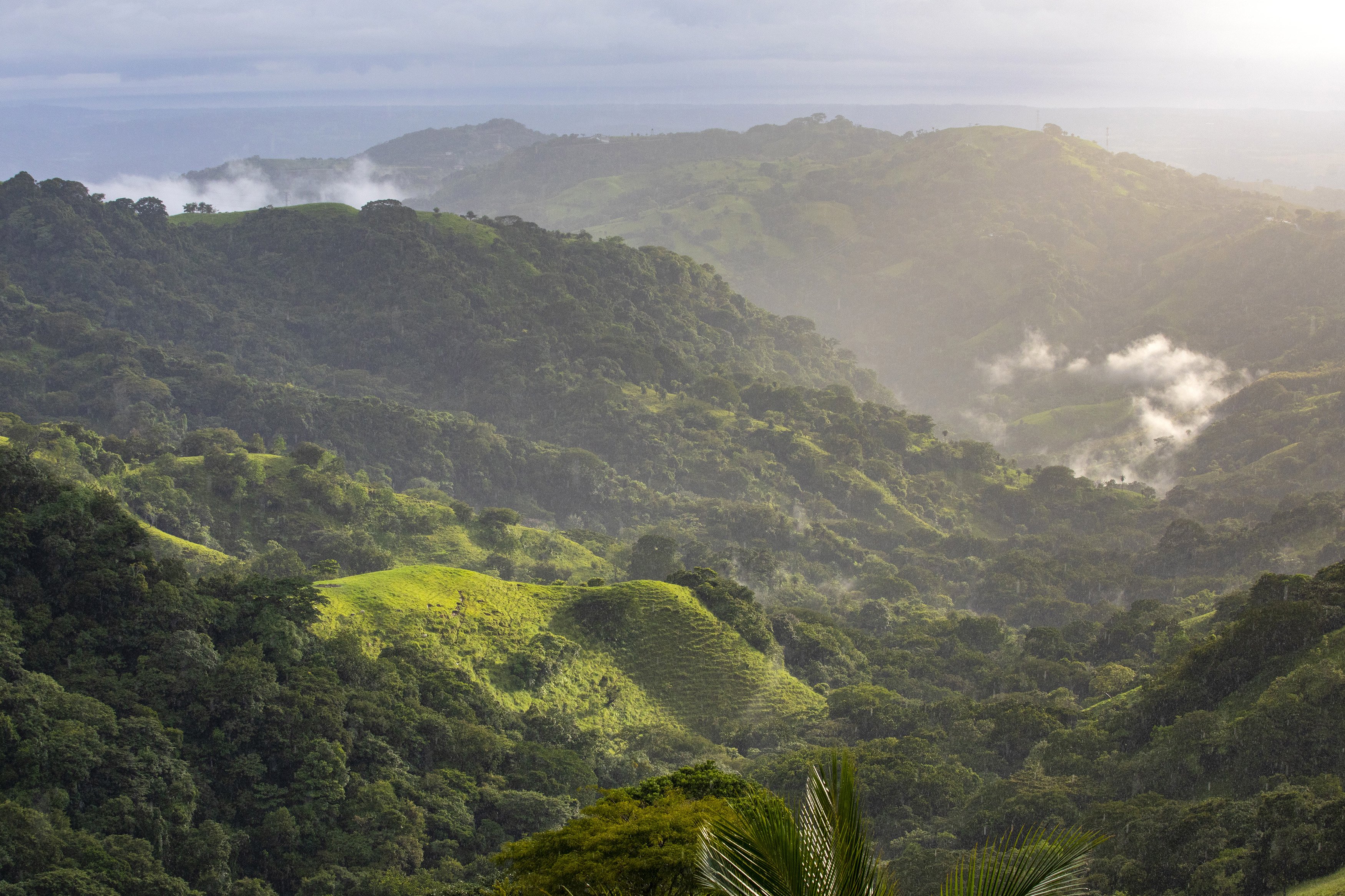 The Retreat Costa Rica