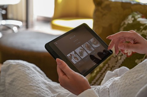 iPad