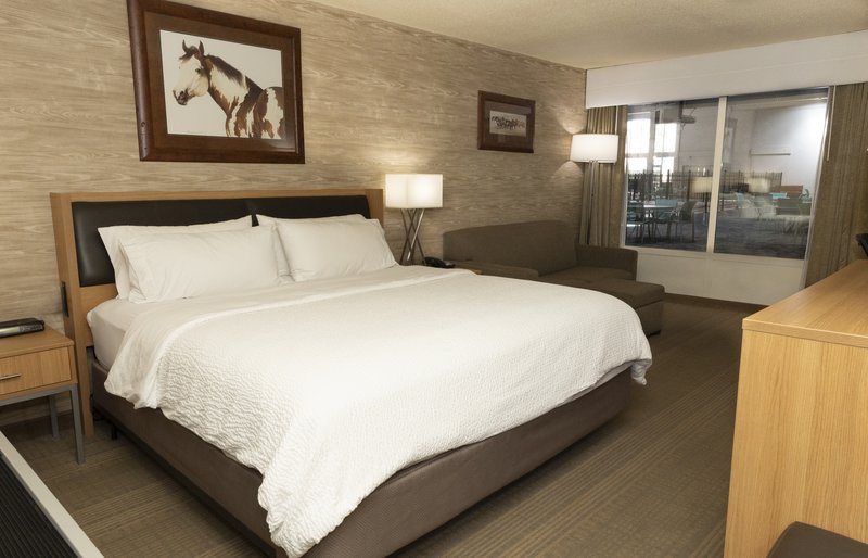 Holiday Inn SPEARFISH-NORTHERN BLACK HILLS