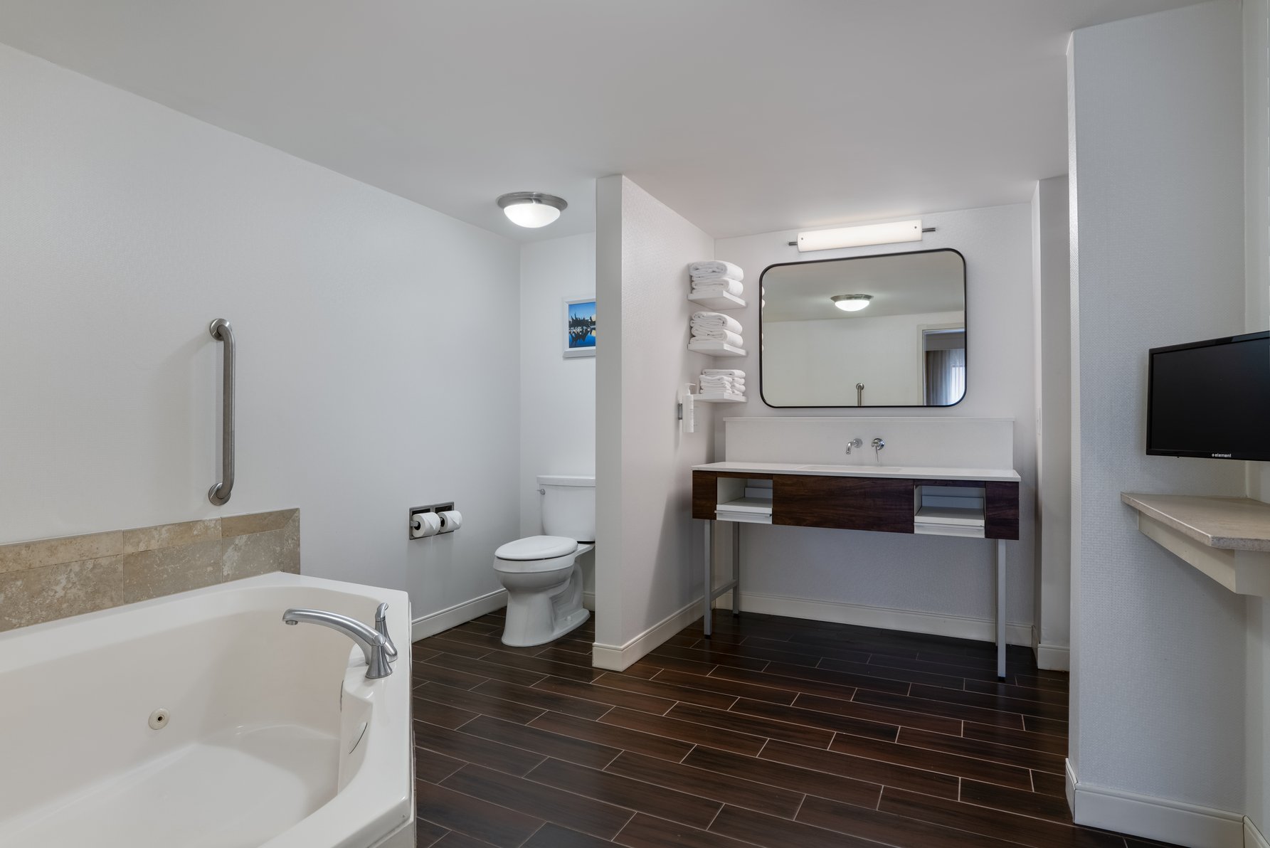 Hampton Inn & Suites by Hilton Albany-Downtown Room Type - 1 KING STE WHIRLPL NONSMOK