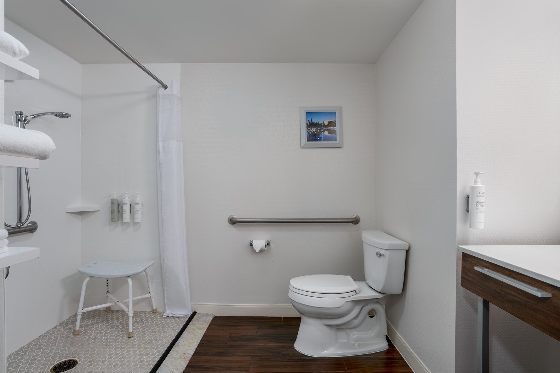Hampton Inn & Suites by Hilton Albany-Downtown Room Type - 1 KNG ACC ROLLIN SHWR NS
