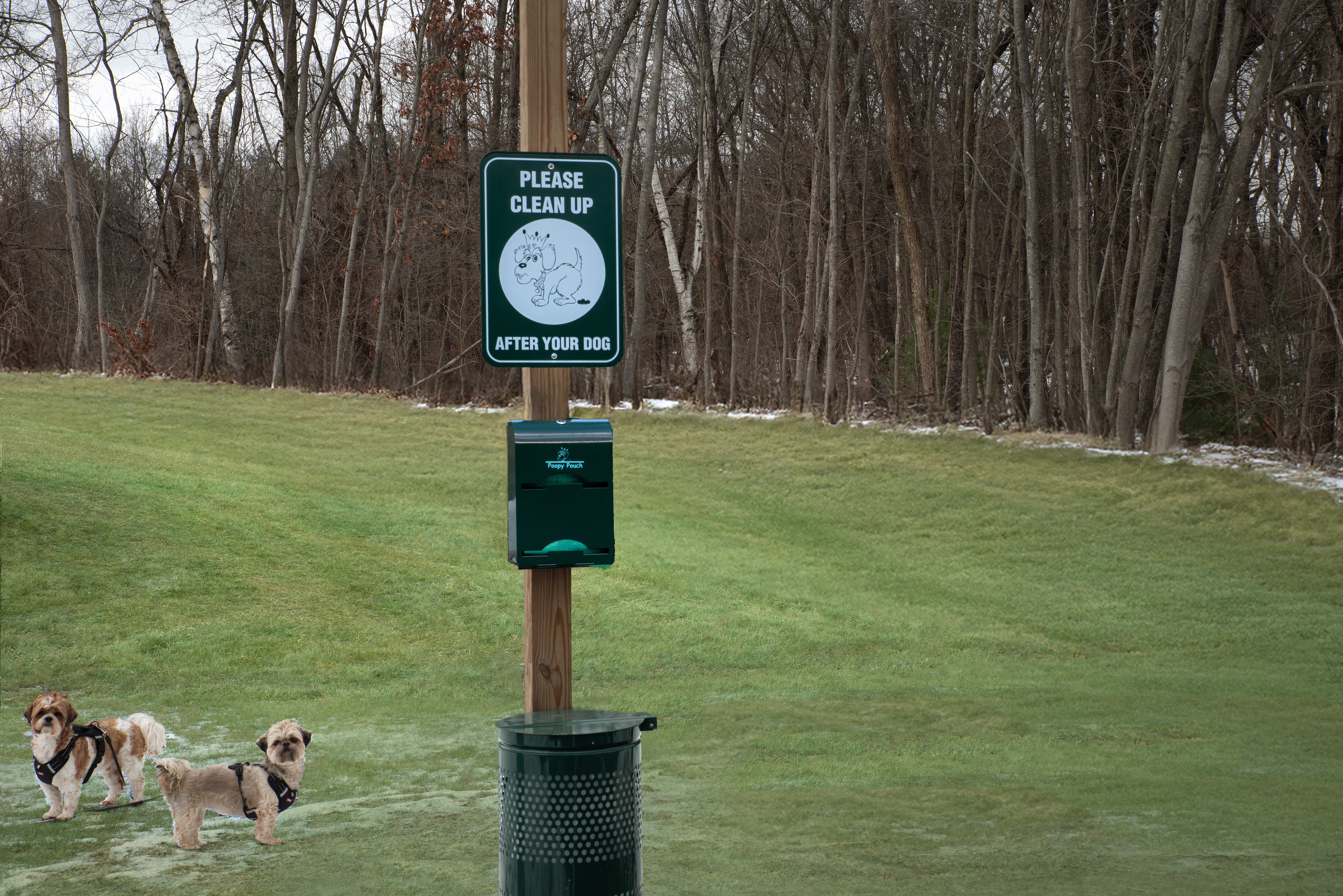 Spark by Hilton Northborough