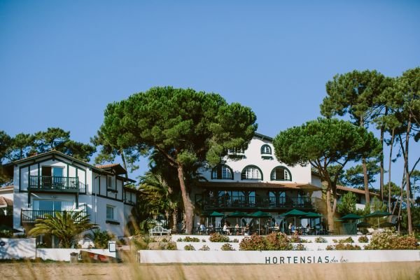 Les Hortensias du Lac
