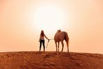 Al Wathba, a Luxury Collection Desert Resort & Spa, Abu Dhabi