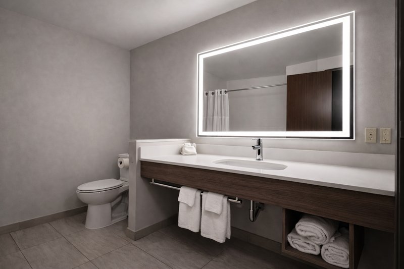 HOLIDAY INN EX STES ST PAUL